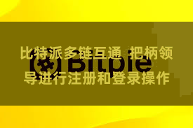比特派多链互通  把柄领导进行注册和登录操作