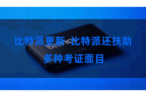 比特派更新  比特派还扶助多种考证面目